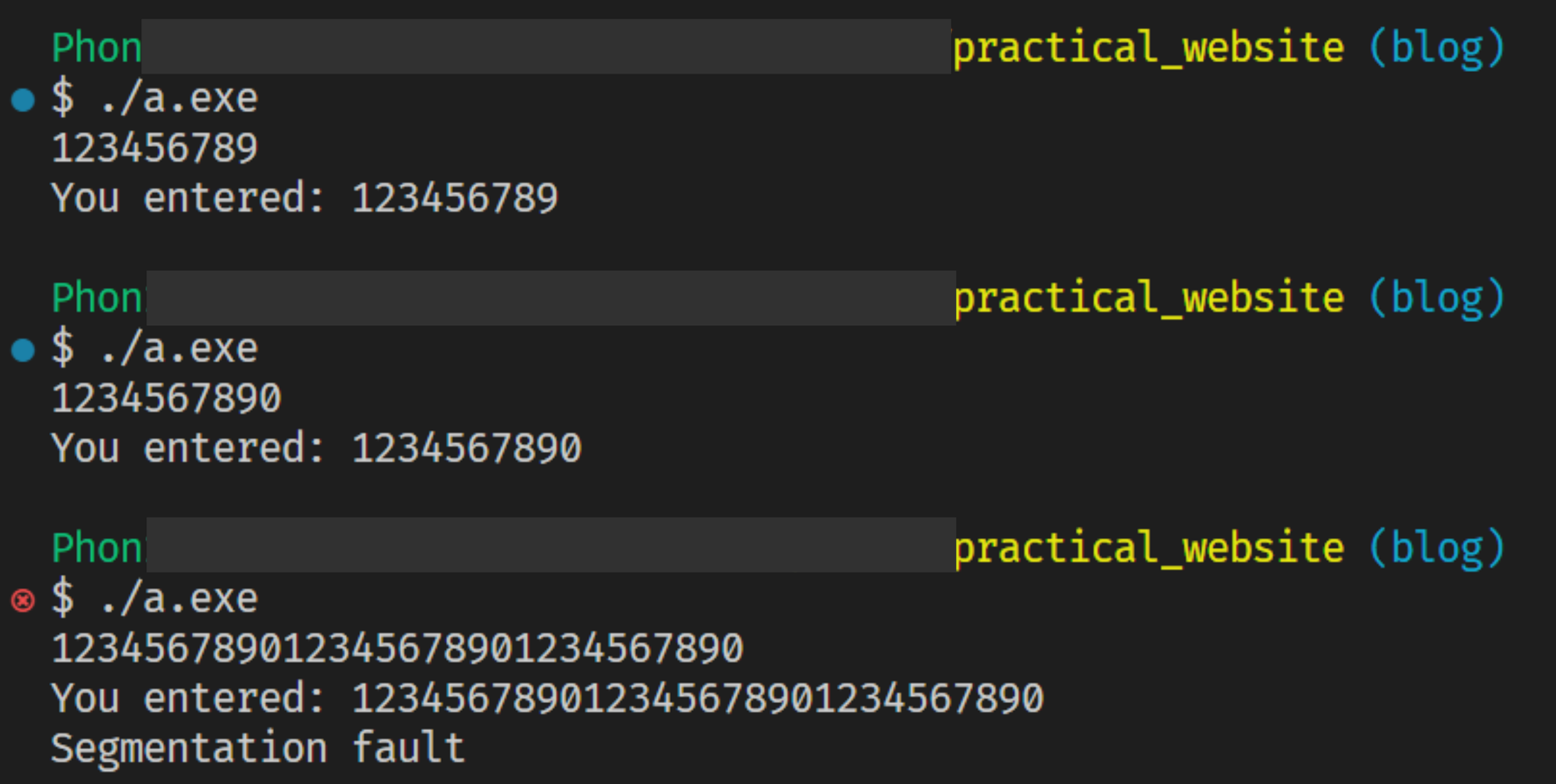 รูป terminal จากการใส่ค่า 123456789012345678901234567890 เข้าไปในโปรแกรมก่อนหน้านี้ แล้วได้ผลลัพท์เป็น Segmentation Fault